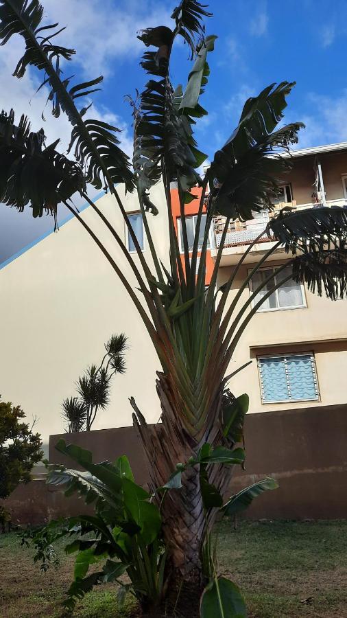 Le Voyageur A 1 Mn Du Chu Sud Terre-Sainte, Saint-Pierre Apartment Exterior photo
